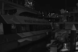 DARLING-HARBOR-28OCT19 BW(57)